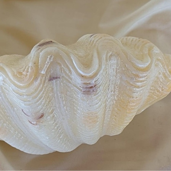 Hand Crafted Other - Beautiful Hand Crafted Cream Unsented Shell Decorative Nautical Theme Candle